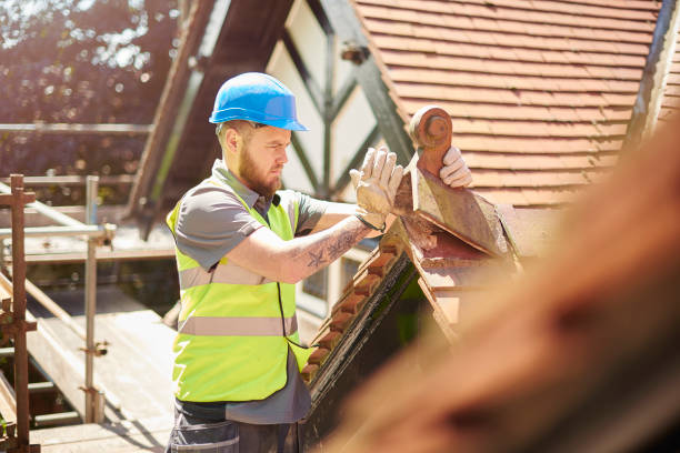 Roof Gutter Cleaning in Elkhorn, WI